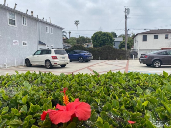 Ocean Park Inn image 13